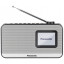 Портативна радіостанція Panasonic RF-D15EG-K